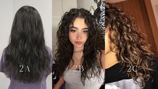 Type 2 Hair Virtual Hair Type Changer  Wash Day  300 subscriber special [upl. by Sven]