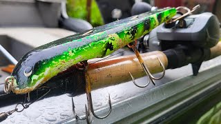 Pike love Big Musky Lures [upl. by Suzie]