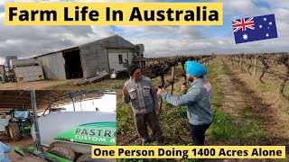 Farm Life In Australia  How One Person Can Do 1400 Acres Of Grapes Life In Australia [upl. by Enidanreb]