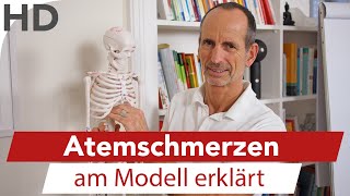 Atemschmerzen am Modell  Asthmaschmerzen Atmenprobleme Atmung Lungenschmerzen [upl. by Ainoyek]