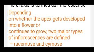 INFLORESCENCE amp ITS TYPES  NEET  11TH NCERT inflorescence NCERTATEASE [upl. by Wallraff]