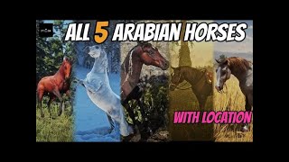 🐎Get ALL 5 Arabian Horses for FREE in Red Dead Redemption 2🐎 [upl. by Nylidnarb493]