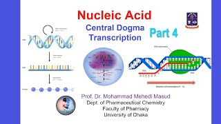 Nucleic Acid Part 4 [upl. by Drofkcor]