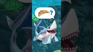 Hungry Shark  Quaso [upl. by Ahsiekam851]