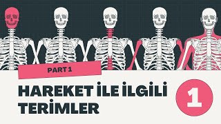 Anatomi  Düzlemler ve Eksenler Anatomik Terimlere Giriş 1 [upl. by Andrej]