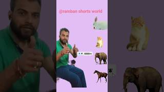 VFX Rabitcatelephant shortvideosvfx vfxshorts vfxeditor [upl. by Kilar]