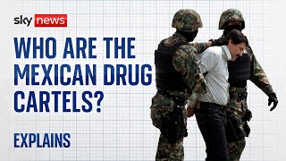 Who are the Mexican drug cartels [upl. by Niatsirt]