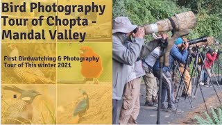 Chopta amp Mandal Birding Tours 2021 Winter Bird Photography  Rohitnayalvlogs [upl. by Joshia534]