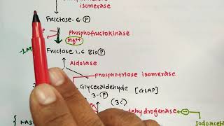 GLYCOLYSIS TRICKS  BIOCHEMISTRY  METABOLISM OF CARBOHYDRATES  PHARMACY EXAM  GPAT  NIPER  MBBS [upl. by Brookes]