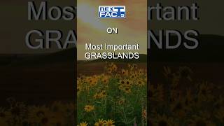 65 🌿 Most Important Grasslands  Geography for UPSC Prelims 2024  Next Facts [upl. by Siramad]