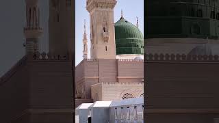 hasbi rabbi jallallah  Turkish version NASEEHD NAAT hasbirabbi foryou nasheed youtubeshorts [upl. by Ikaz267]