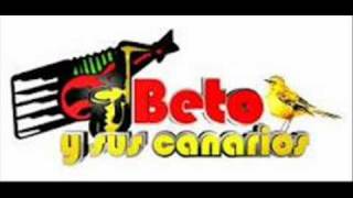 Tengo Ganas Beto y sus canarios [upl. by Adnalay]