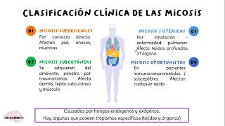 Generalidades de micología [upl. by Eive]