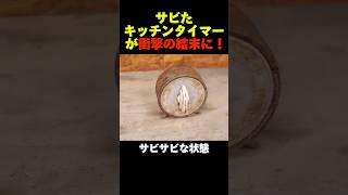 サビたキッチンタイマーが衝撃の結末に！ おもしろ動画 [upl. by Wanfried]