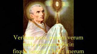 Pange Lingua Gloriosi  Catholic Hymns Gregorian Chant [upl. by Luapnaes]