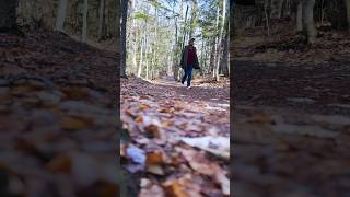 Sabbaday falls trendingshorts newhampshire vacationmode withfamilyvlogs shortsvideo usa [upl. by Hadwin]