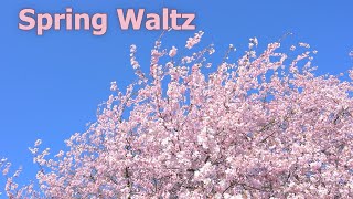 Spring Waltz [upl. by Collum906]