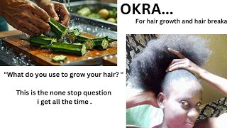 4C Natural hair growth routineUse Okra for result 4cnaturalhair hairgrowth [upl. by Lotz]