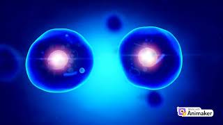 MITOSIS Cell division ANIMATED VIDEO WITH EXPLAINATION [upl. by Bouldon]