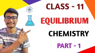 Equilibrium Chemistry Class 11 [upl. by Eisse]