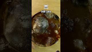 Ostrich egg soaked in coke for 50 days experiment 💀 [upl. by Helse557]