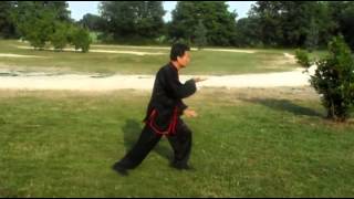 Hunyuan Taijiquan 48  Wang Fengming [upl. by Nuhsyar]