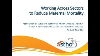 Working Across Sectors to Reduce Maternal Mortality [upl. by Ertnod]