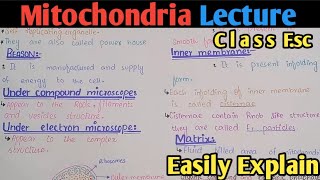 Mitochondria Structure And Functions  Powerhouse  Class 11 Biology [upl. by Mischa557]