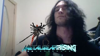 Metal Gear Rising Revengeance  A Stranger I Remain Acoustic cover [upl. by Kimberly]