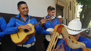 Fiestas Arandas Jalisco 2023 [upl. by Acinemod]