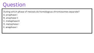 During which phase of meiosis do homologous chromosomes separate [upl. by Radbourne455]