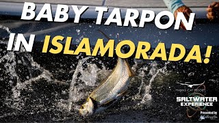 Baby Tarpon with Mason Baker  Saltwater Experience [upl. by Ettelracs298]