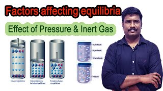 10Factors affecting equilibria  Effect of Pressure  Effect of Inert Gas  concept for NEET  JEE [upl. by Hajin659]