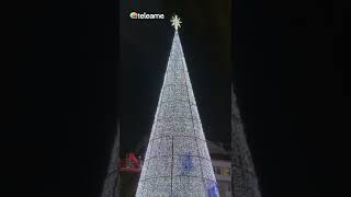 El Gran ARBOL 🎄 de la NAVIDAD de VIGO encendido ⭐️ LUCES Navidad VIGO 2022 🎁 [upl. by Danas]