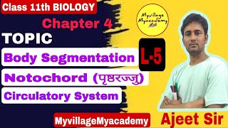 Body Segmentation। Notochord। Circulatory system। By Ajeet Sir animalkingdomclass11 [upl. by Aicul]