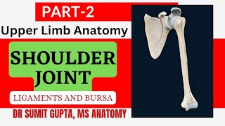 SHOULDER JOINT  Ligaments and Bursa [upl. by Naic]