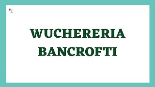 Wuchereria bancrofti Lifecycle  Lymphatic filariasis  Elephaniasis  Filarial Worm or Nematode [upl. by Aicad]