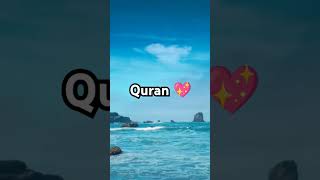 surah As Dajda 713 QURAN URDU TRANSLATION SHORT quraninurdu qurantranslation quarn nature [upl. by Menken]