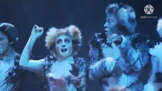 Jellicle Songs for Jellicle Cats  Dogs The Musical  Broadway Revival Cast [upl. by Orimisac]