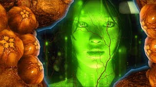 Halo 6 News  CONFIRMED Cortana Infected By the LOGIC PLAGUE [upl. by Akeme]