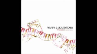 Andrew J amp Kaltenecker  The Thief [upl. by Aivle429]