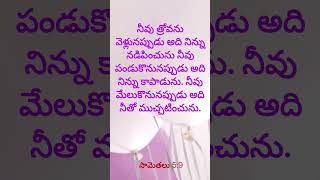 ఇది నిన్ను నడిపించి కాపాడే ఉపదేశం త్రోసివేయకు సుమీdailybibleverse dailybibleverse [upl. by Christean]