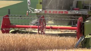 Gerstedreschen 2014 in Hanglage mit Claas Dominator 68s [upl. by Pren50]