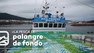 OPP7 La Pesca de Palangre de Fondo en Aguas Europeas [upl. by Anrapa]