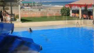 Hotel Adele Beach Adelianos Kampos Rethymnon Zachodnia Kreta Grecja  Greece  mixtravelpl [upl. by Ycats]