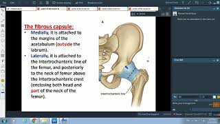 Joints of the Lower Limb Hip and KneeDr Ahmed Farid [upl. by Tletski]