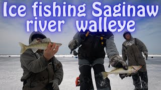 Ice Fishing Walleye On The Saginaw River [upl. by Rudich]