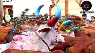 Khekra I Event  kankroli I Dwarkadhish Mandir I By Rajsamand Blog  Rajsamand Tourism [upl. by Ashlee]