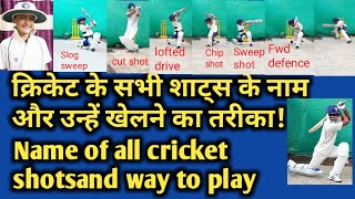 All cricket shots  Name of all cricket shots  Sabhi Cricket shots ke name  all type cricket shots [upl. by Laurie]