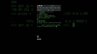 IHA089  proxy with python  Tor  Tor proxy  Linux iha089 cybersecurity linux coding [upl. by Ernie]